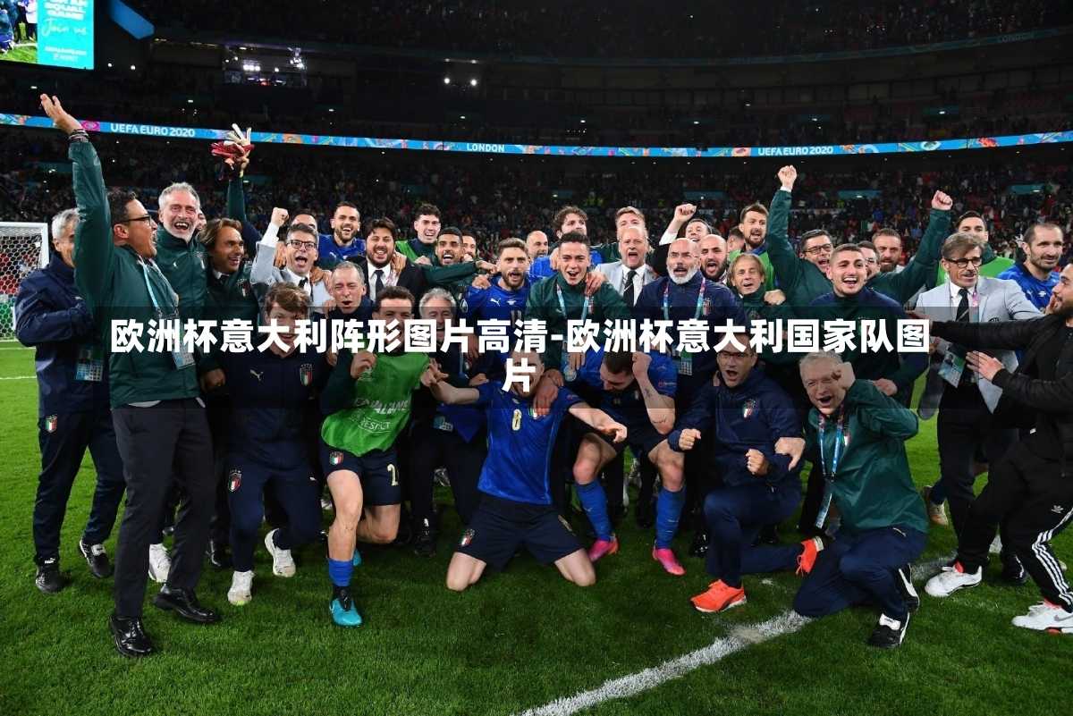 欧洲杯意大利阵形图片高清-欧洲杯意大利国家队图片