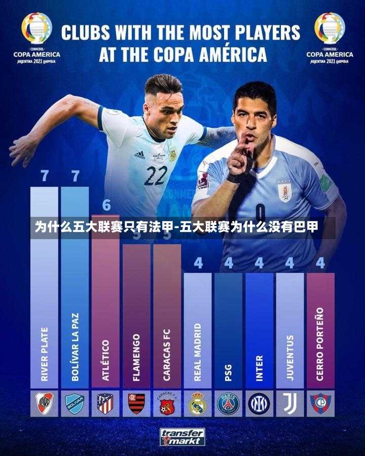为什么五大联赛只有法甲-五大联赛为什么没有巴甲