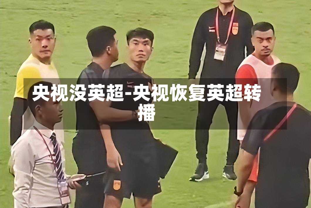 央视没英超-央视恢复英超转播