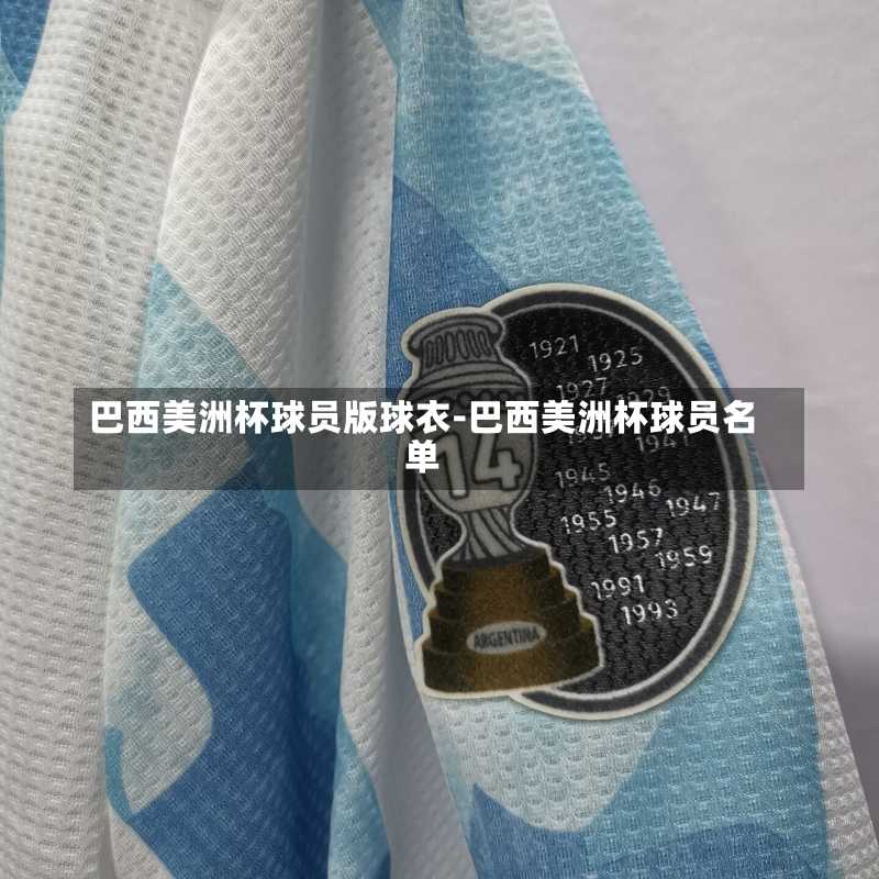 巴西美洲杯球员版球衣-巴西美洲杯球员名单