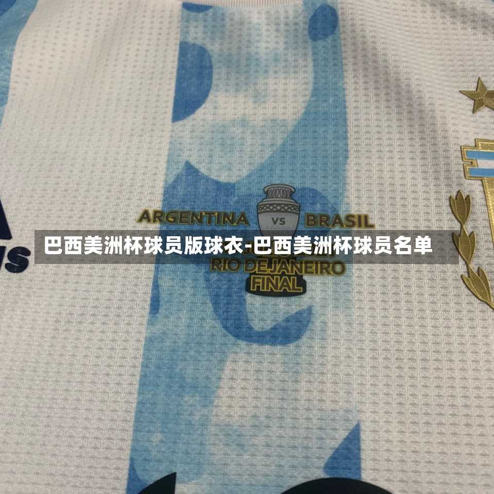 巴西美洲杯球员版球衣-巴西美洲杯球员名单