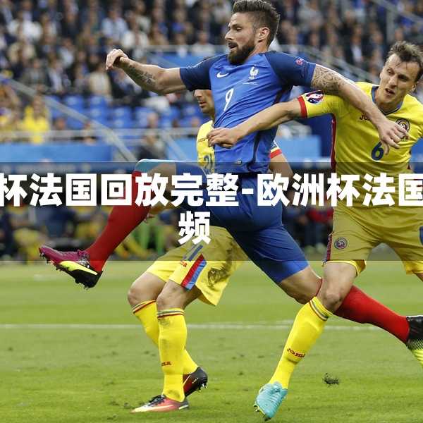欧洲杯法国回放完整-欧洲杯法国视频