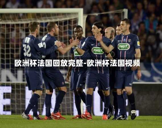 欧洲杯法国回放完整-欧洲杯法国视频