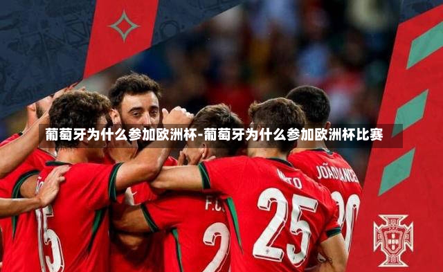 葡萄牙为什么参加欧洲杯-葡萄牙为什么参加欧洲杯比赛