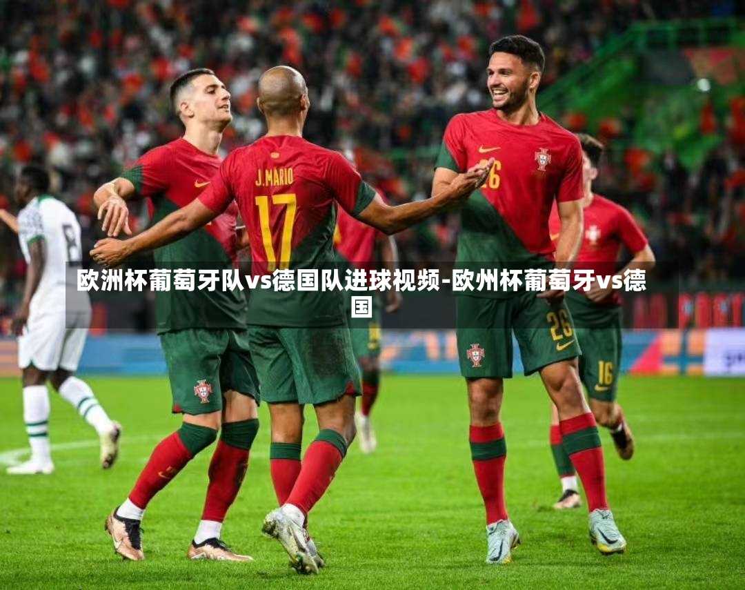 欧洲杯葡萄牙队vs德国队进球视频-欧州杯葡萄牙vs德国