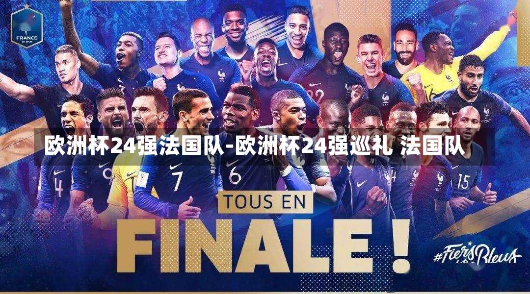 欧洲杯24强法国队-欧洲杯24强巡礼 法国队