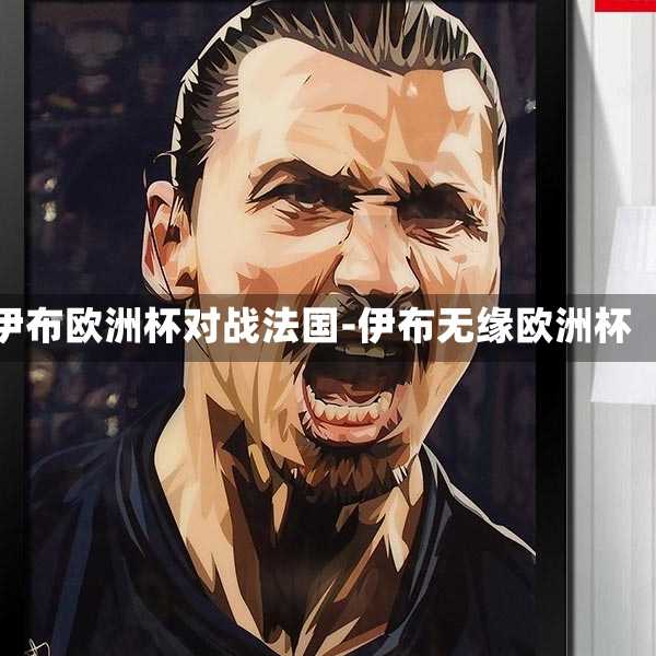 伊布欧洲杯对战法国-伊布无缘欧洲杯