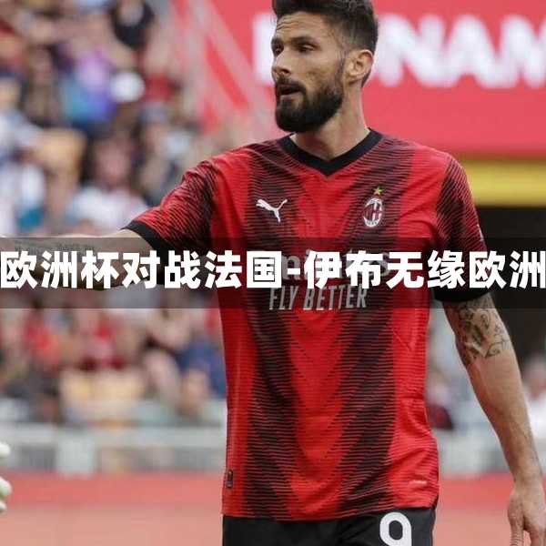 伊布欧洲杯对战法国-伊布无缘欧洲杯