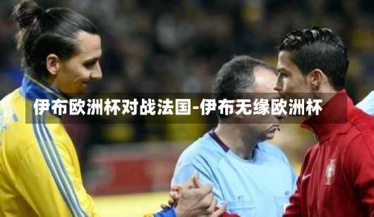 伊布欧洲杯对战法国-伊布无缘欧洲杯
