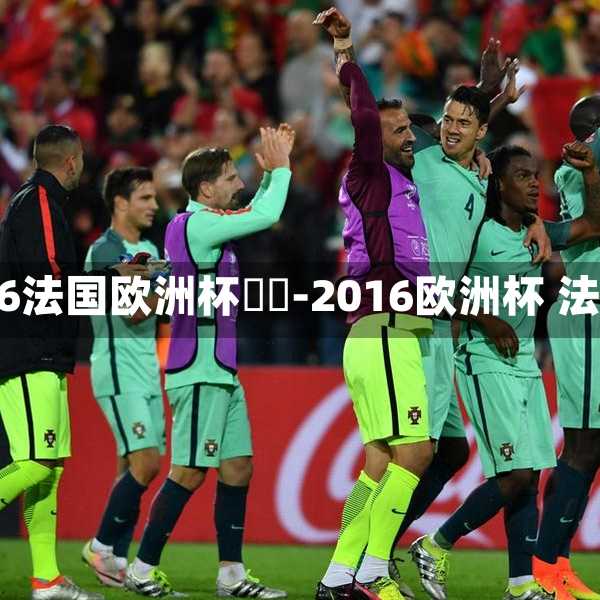 2016法国欧洲杯視頻-2016欧洲杯 法国
