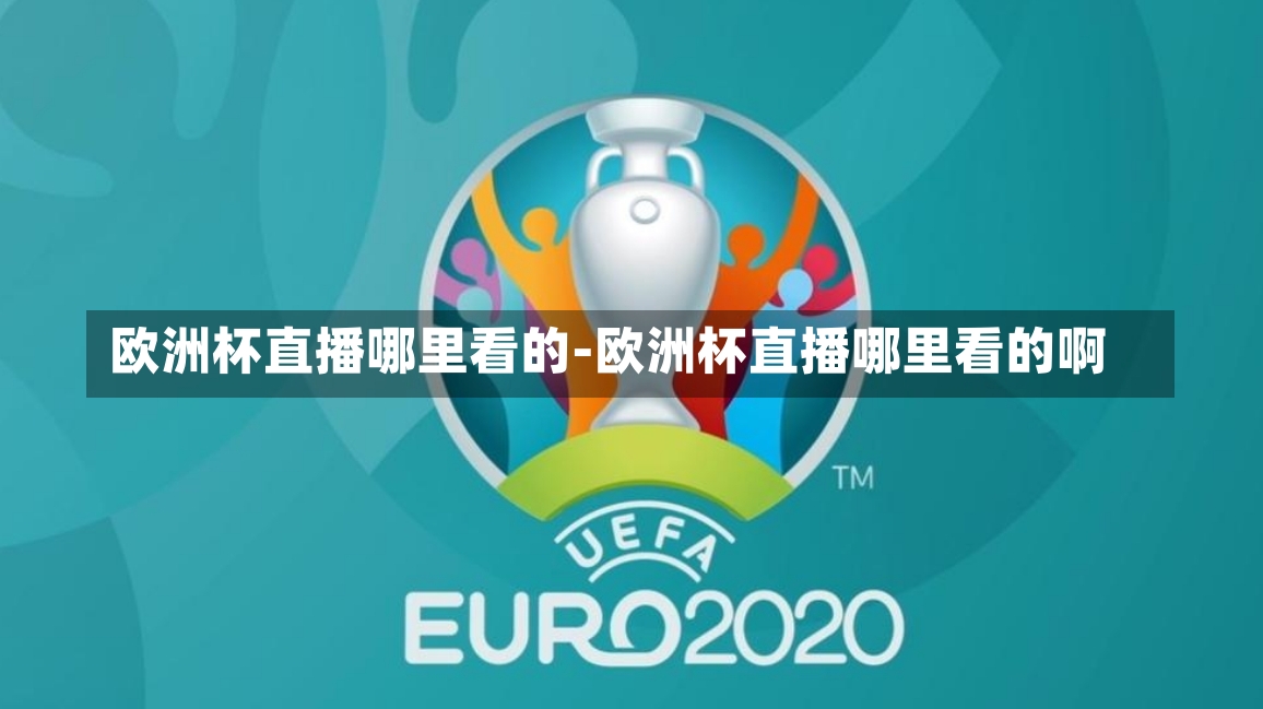 欧洲杯直播哪里看的-欧洲杯直播哪里看的啊