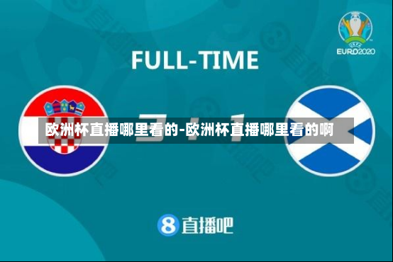 欧洲杯直播哪里看的-欧洲杯直播哪里看的啊