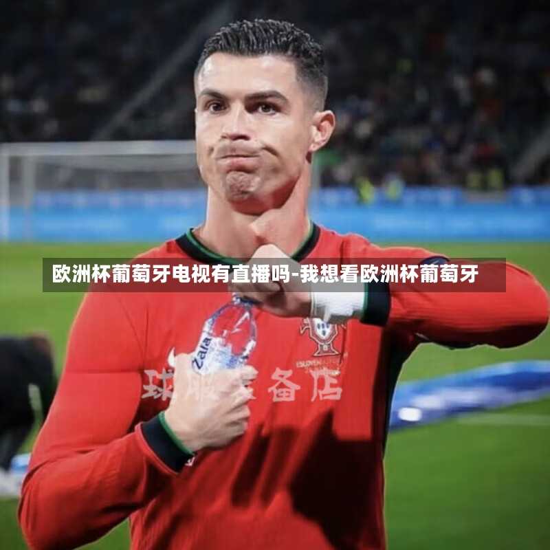 欧洲杯葡萄牙电视有直播吗-我想看欧洲杯葡萄牙