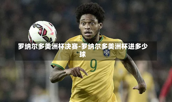 罗纳尔多美洲杯决赛-罗纳尔多美洲杯进多少球