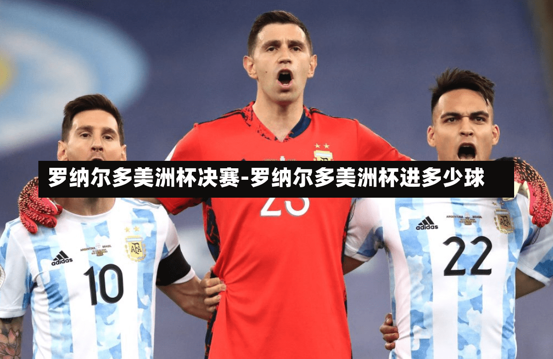 罗纳尔多美洲杯决赛-罗纳尔多美洲杯进多少球