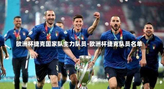 欧洲杯捷克国家队主力队员-欧洲杯捷克队员名单