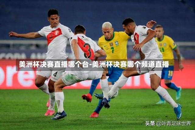 美洲杯决赛直播哪个台-美洲杯决赛哪个频道直播