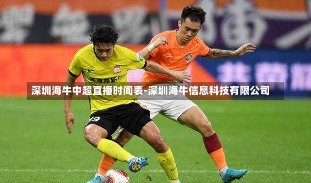 深圳海牛中超直播时间表-深圳海牛信息科技有限公司