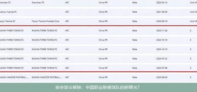 转会禁令解除:中国职业联赛球队的新曙光?
