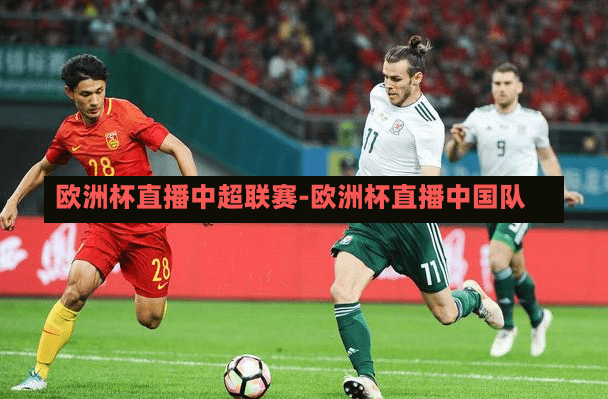 欧洲杯直播中超联赛-欧洲杯直播中国队