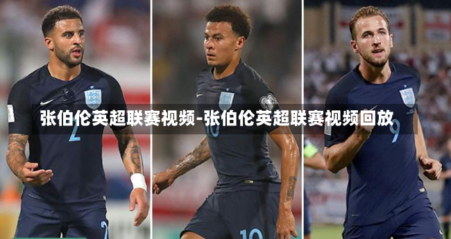 张伯伦英超联赛视频-张伯伦英超联赛视频回放