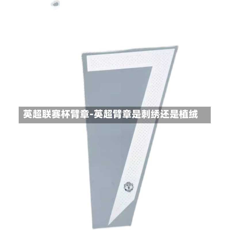 英超联赛杯臂章-英超臂章是刺绣还是植绒