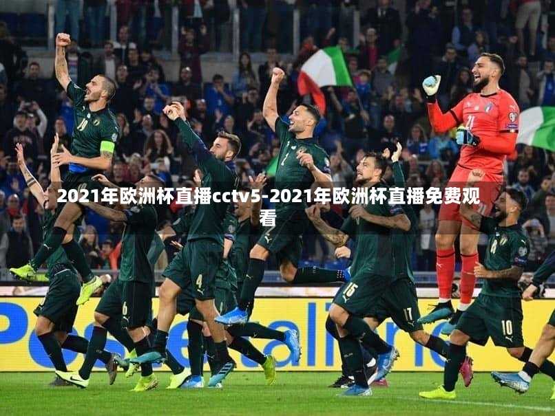 2021年欧洲杯直播cctv5-2021年欧洲杯直播免费观看