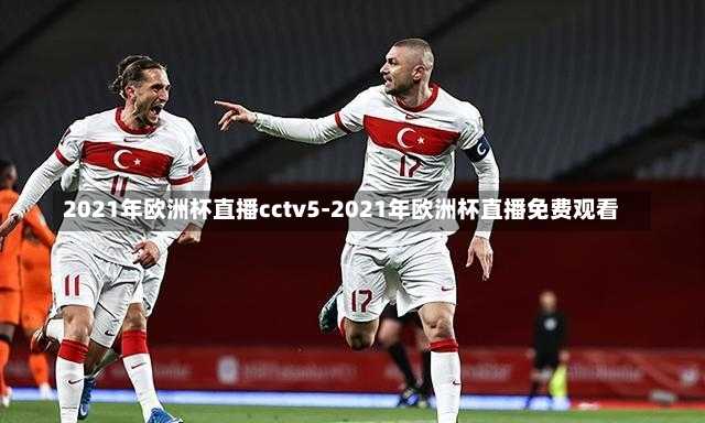 2021年欧洲杯直播cctv5-2021年欧洲杯直播免费观看