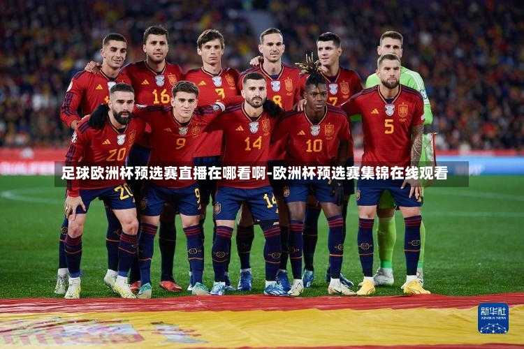 足球欧洲杯预选赛直播在哪看啊-欧洲杯预选赛集锦在线观看