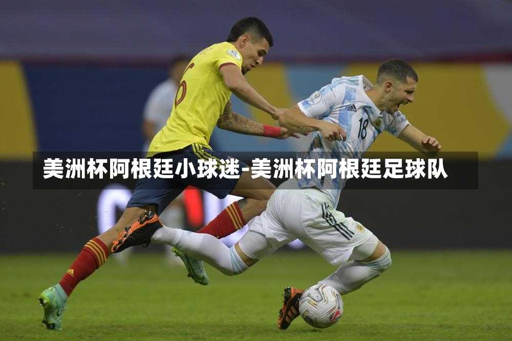 美洲杯阿根廷小球迷-美洲杯阿根廷足球队