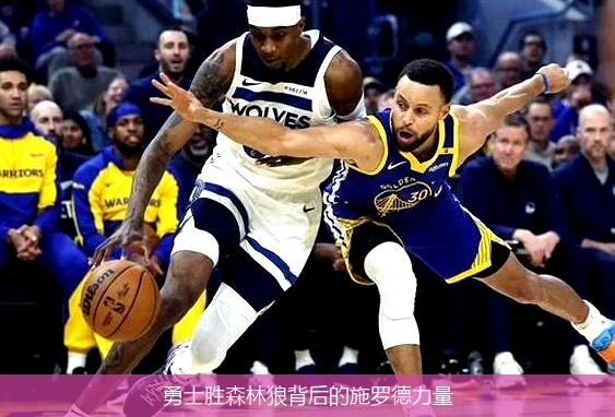 勇士胜森林狼背后的施罗德力量
