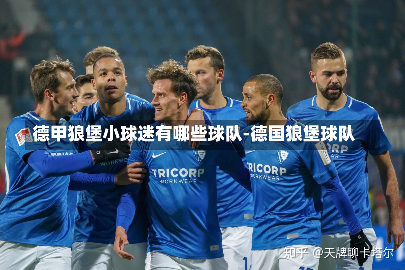 德甲狼堡小球迷有哪些球队-德国狼堡球队