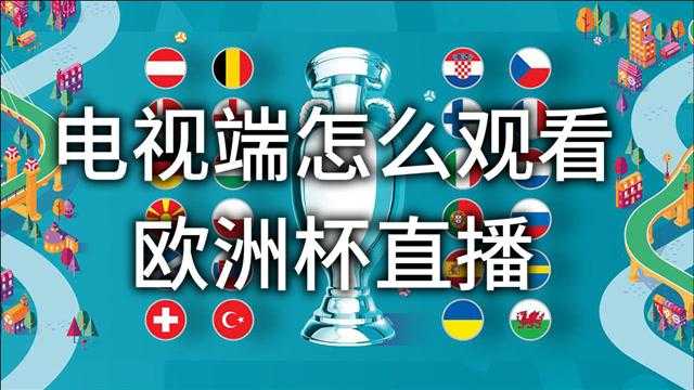 欧洲杯直播在哪观看回放视频-欧洲杯现场直播在哪看