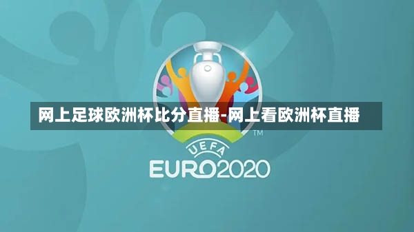 网上足球欧洲杯比分直播-网上看欧洲杯直播