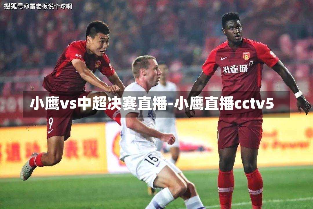 小鹰vs中超决赛直播-小鹰直播cctv5