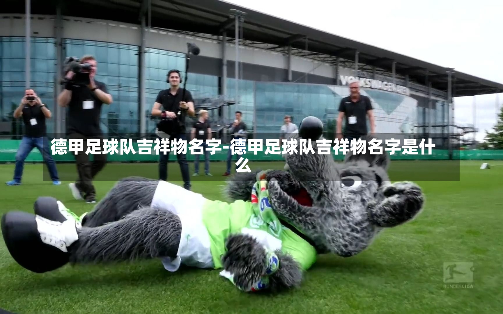德甲足球队吉祥物名字-德甲足球队吉祥物名字是什么