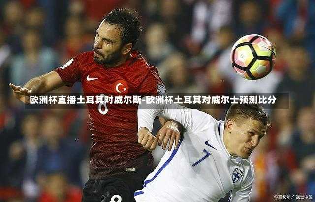 欧洲杯直播土耳其对威尔斯-欧洲杯土耳其对威尔士预测比分