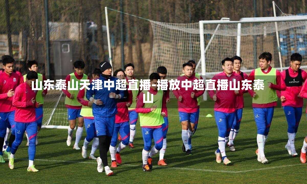 山东泰山天津中超直播-播放中超直播山东泰山
