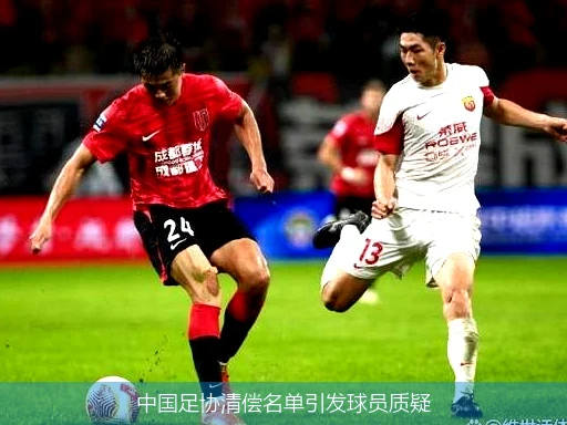 中国足协清偿名单引发球员质疑