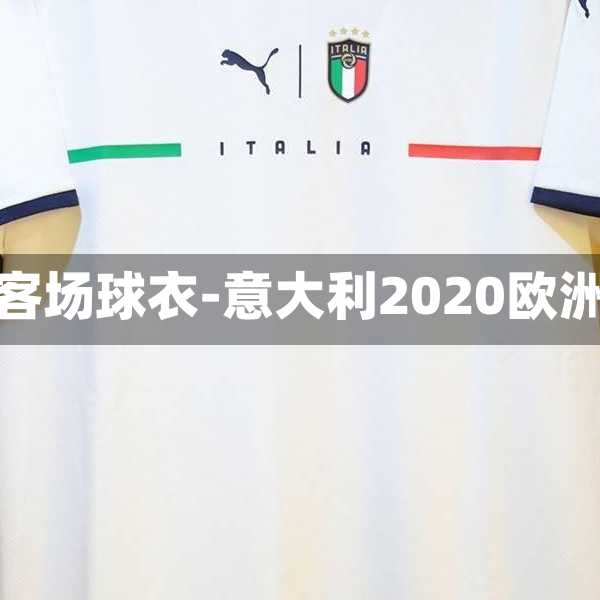 意大利欧洲杯客场球衣-意大利2020欧洲杯客场球衣