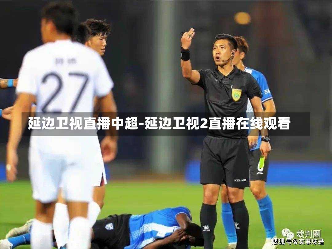 延边卫视直播中超-延边卫视2直播在线观看