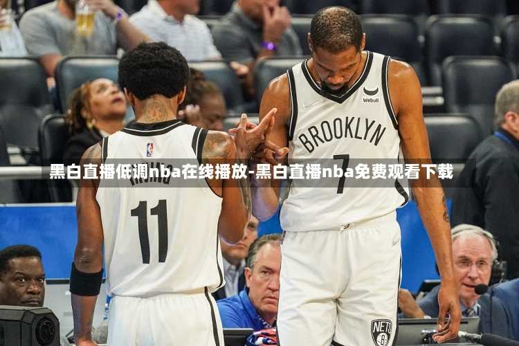 黑白直播低调nba在线播放-黑白直播nba免费观看下载