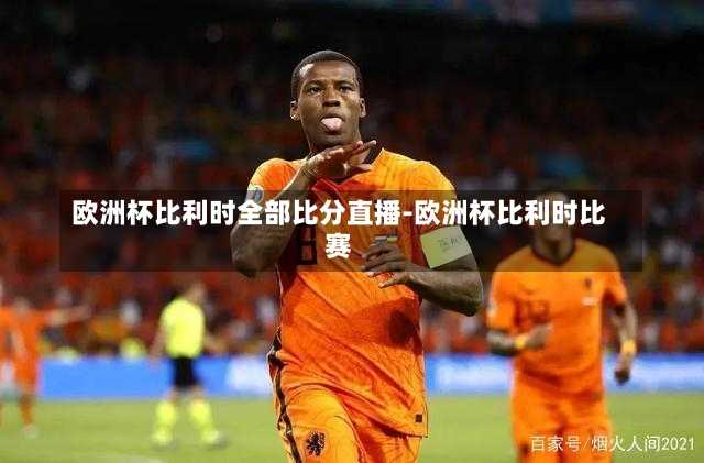 欧洲杯比利时全部比分直播-欧洲杯比利时比赛