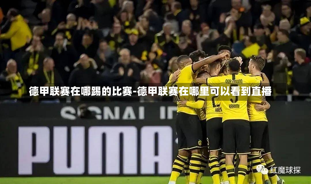 德甲联赛在哪踢的比赛-德甲联赛在哪里可以看到直播