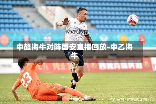 中超海牛对阵国安直播回放-中乙海牛
