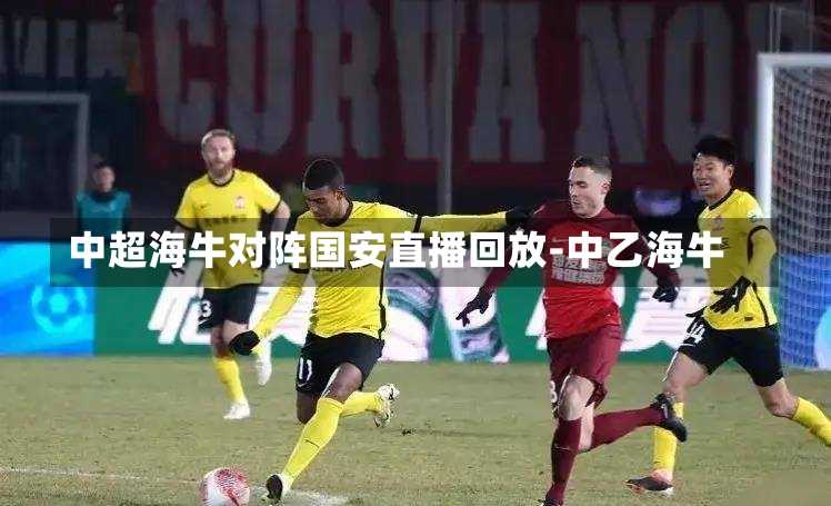 中超海牛对阵国安直播回放-中乙海牛