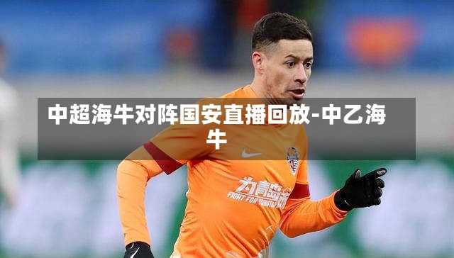 中超海牛对阵国安直播回放-中乙海牛