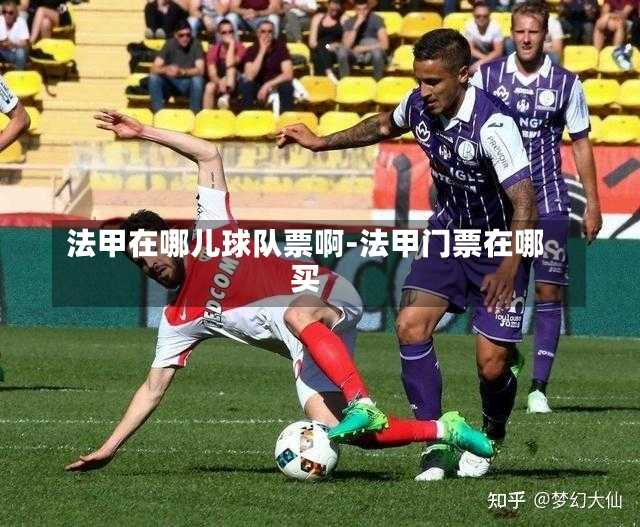 法甲在哪儿球队票啊-法甲门票在哪买