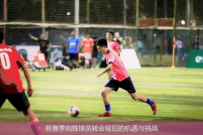 新赛季刘姓球员转会背后的机遇与挑战