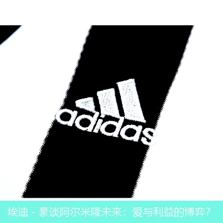 埃迪 - 豪谈阿尔米隆未来:爱与利益的博弈?